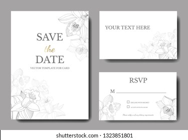 Vector Narcissus floral botanical flower. Wild spring leaf wildflower isolated. Black and white engraved ink art.