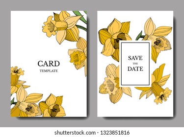 Vector Narcissus floral botanical flower. Wild spring leaf wildflower isolated. Black and white engraved ink art.