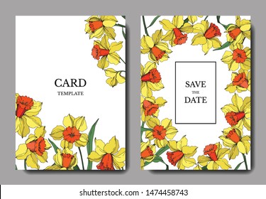 Vector Narcissus floral botanical flower Yellow and green engraved ink art