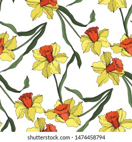Vector Narcissus floral botanical flower Yellow and green engraved ink art