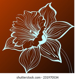 vector narcissus on a dark background