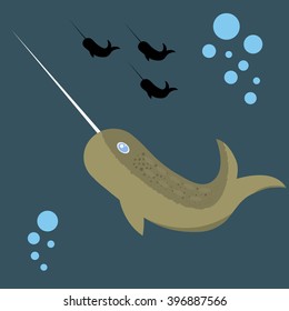 The vector narwhal.