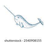 Vector narwhal with a long horn. Hand painted marine animal. Graphic tropical clip art isolated on background. Underwater illustration. For designers, invitations, decoration, postcards, wrapping pape