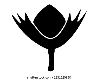 Vector of the national plant of South Africa the King Protea.