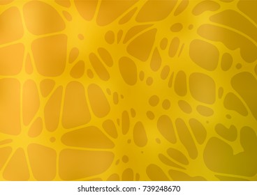 Vector natural abstract background. Shining colored illustration with childish doodles in Arabic style. A completely new design for your business.