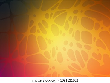 Vector natural abstract design. Shining colored illustration with childish doodles in Arabic style. The pattern can be used for heads of websites and designs.