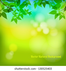 Vector Natural Background Stock Vector (Royalty Free) 130525403 ...