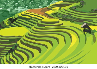 Vector Natural Beauty of Rice Planted Fields