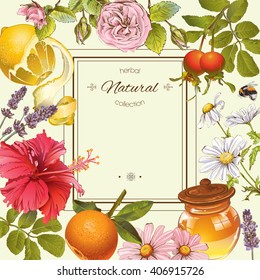 Vector natural collection frame with honey, lemon, hibiscus and herbs. Design for tea, natural cosmetics, beauty salon, candy, sweets, health care products. Summer background. Can be used as greeting card.