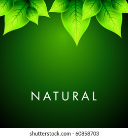 Vector Natural Design