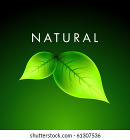 Vector Natural Design