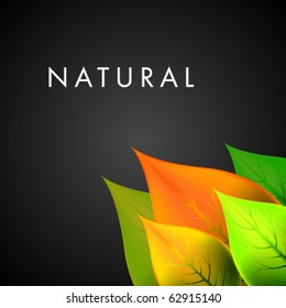 Vector Natural Design