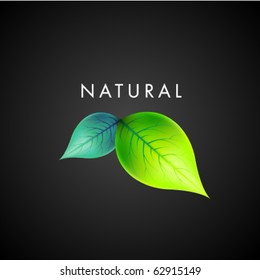 Vector Natural Design