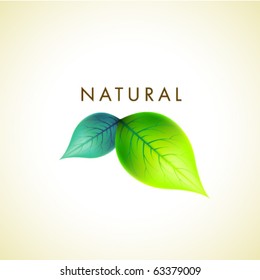 Vector Natural Design