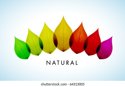 Vector Natural Design