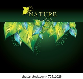 VectorNatural Design