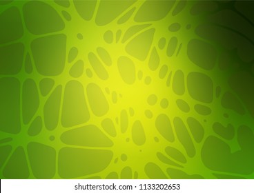 Vector natural elegant artwork. Decorative shining childish illustration with doodles on abstract template. A completely new design for your business.