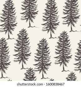 Vector natural forest seamless pattern of evegreen trees, Monochrome tree collection, Woodland wallpaper.