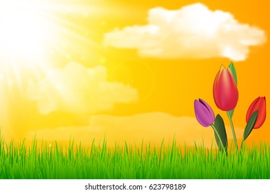 Vector natural green background with sun tulip flower and grass. vector illustration