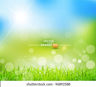 vector natural green background with sun and grass