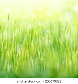 Vector natural green background with sunlight and grass. 