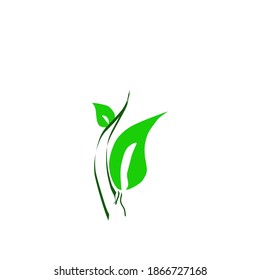 Vector Natural De Las Hojas Verdes