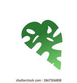 Vector Natural Green Monstera Leaf On Illustration Image