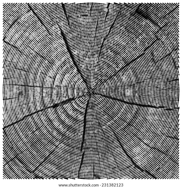 鋸切りの木の幹を彫るベクター自然イラスト 木のテクスチャーの抽象的なスケッチ のベクター画像素材 ロイヤリティフリー