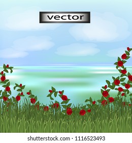 Vector natural image, landscape grass by the lake, the shore is entangled with wild roses background illustration of romantic natural look.
