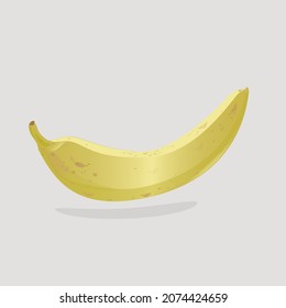 vector natural image of ripe yellow banana