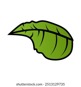 vector natural leaf green color, leaf minimalist icon