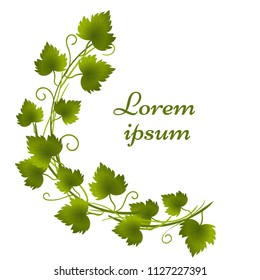 Vector of natural leaves. Round frame isolated on white background. Place for text. Perfect for health care products, greeting cards or other design works