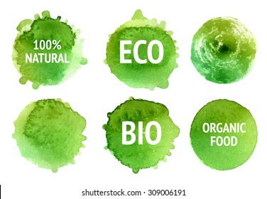 Vector natural, organic food, bio, eco labels and shapes on white background. Hand drawn watercolor stains set.