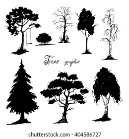 Vector natural set of forest trees.Black and white. hand drawn vector illustration. Ink sketch. 
