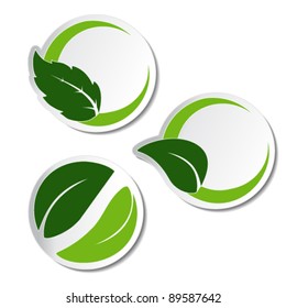 Vector natural stickers with leaf