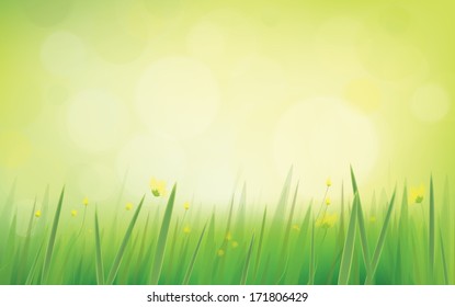 Vector nature background.