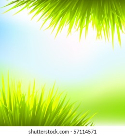 vector nature background