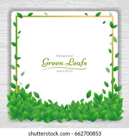Vector nature background banner with green leaf frame