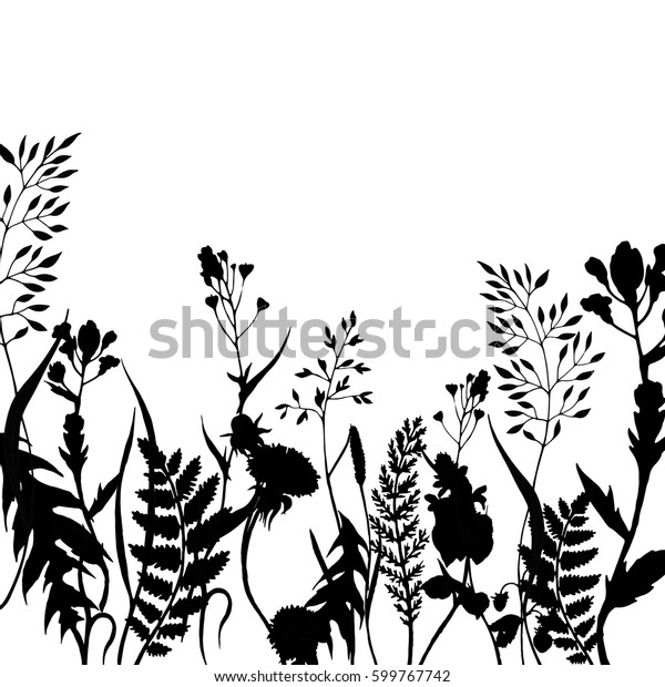 Vector Nature Background Black Wild Herbs Stock Vector (Royalty Free ...