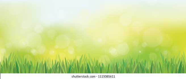 Vector  nature background, blue sky and green grass. Bokeh nature background.