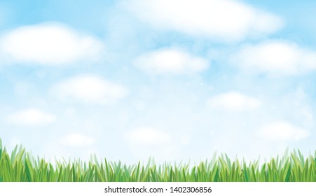 Vector  nature background, blue sky and green grass.