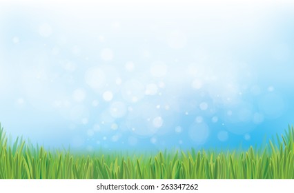 Vector nature background blue sky and green grass. 