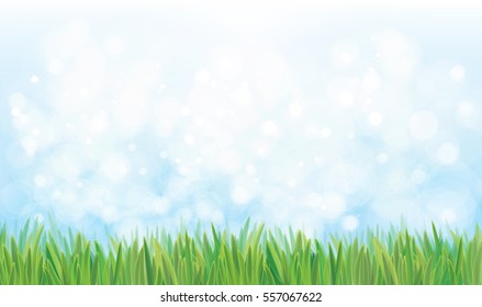 Vector  nature background, blue sky and green grass.