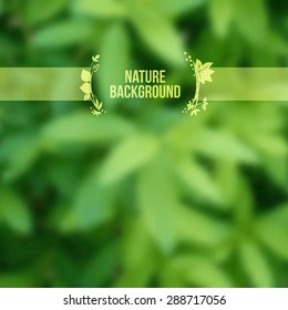 Vector nature background with blurred summer leaves. Season decor.