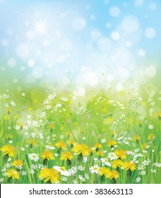 Vector  nature background with chamomiles and dandelions.