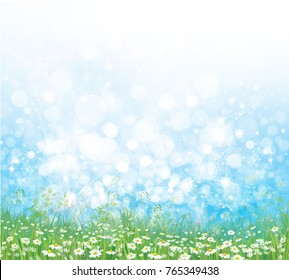 Vector  nature  background, chamomiles field and blue sunny sky.