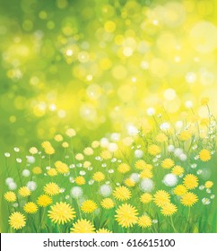Vector  nature  background,  dandelions flowers.