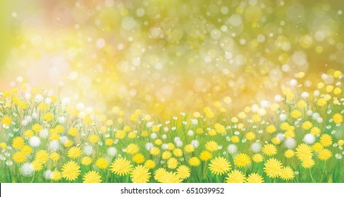 Vector  nature  background,  dandelions flowers field.