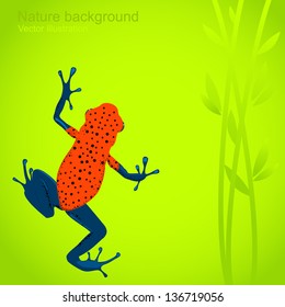 Vector nature background with a frog
