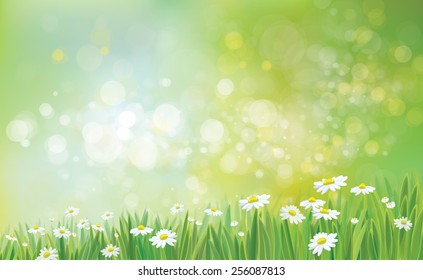 Vector nature background with grass and chamomiles.